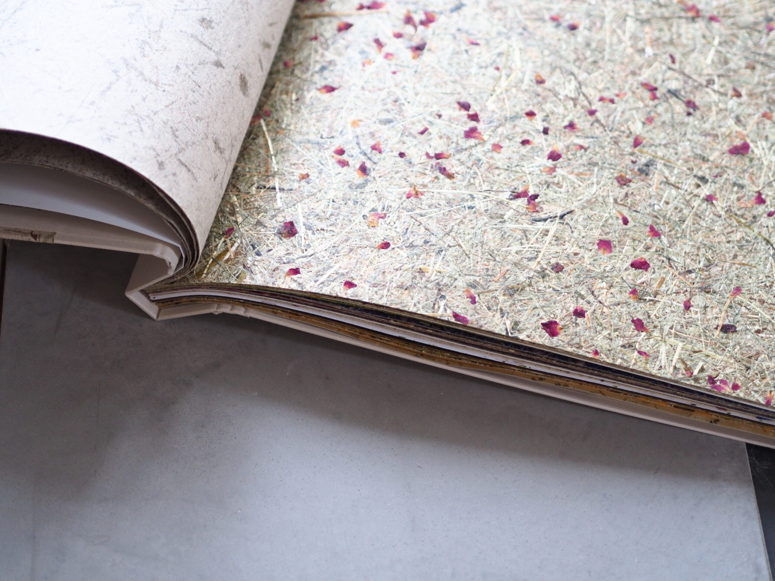 2G Media & Marketing Glonn Werbeagentur Design Geschäftsausstattung Geschäftsbrief Gestaltung Satzstudio Reinzeichnung Webdesign Internetauftritt Shopsystem Onlineshop Webshop Tabellensatz Typografie Ebersberg Tom Schindler Eva Schindler